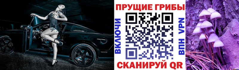 Псилоцибиновые грибы Magic Shrooms  Рудня 
